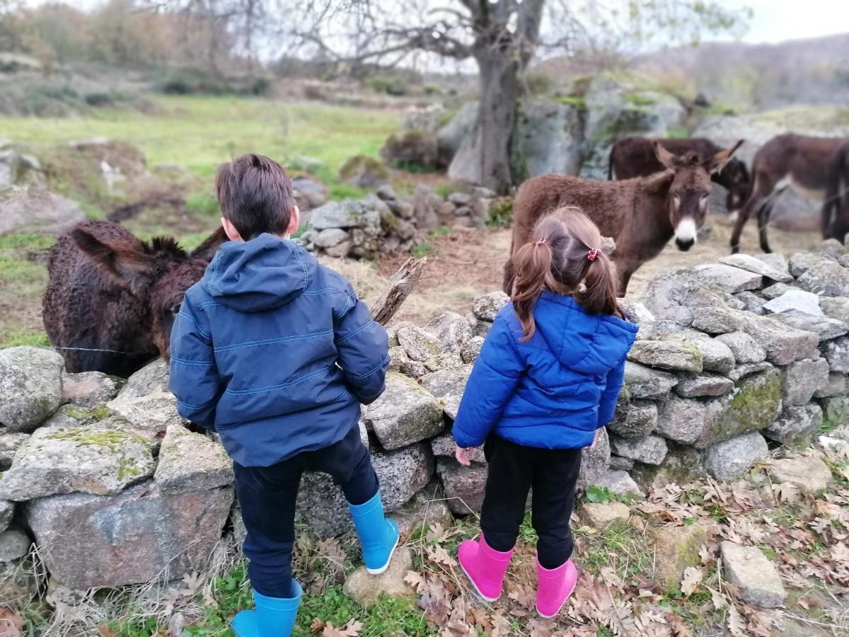 La Casa De Abajo Villa Arroyomolinos de la Vera Kültér fotó